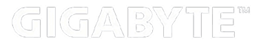 Gigabyte